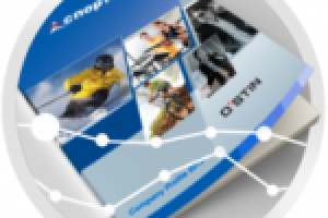 Profile «Спортмастер» ; «Ostin» 2011г.