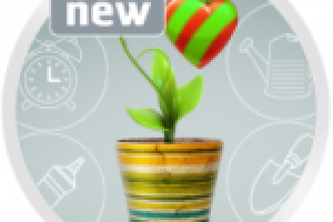 Открытка к дню Святого Валентина «Family Designs».