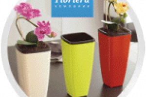 Плакат/листовка для «Sargan», «Floriera», «Клуб Велход»