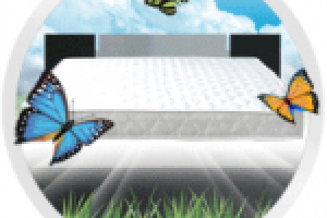 Календари и открытки для «STOLLINE».