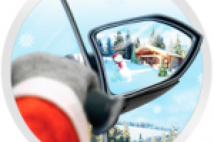 Открытки для «Альбатрос».