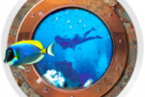 Каталог «Natterera».