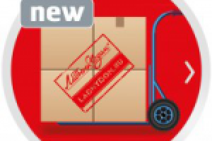 Баннер для «Ладный Дом».