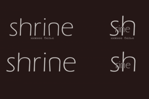 lingerie logo. Логотип для бренда нижнего белья