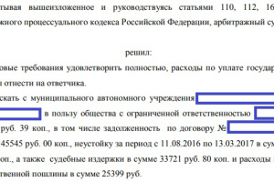 Решение Арбитражного суда в пользу Истца по подготовленному иску