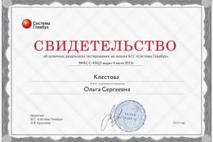 Свидетельство БСС 2013