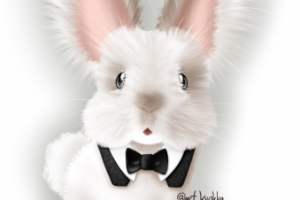 Пушистый кролик