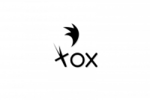 Fox Logo Concept