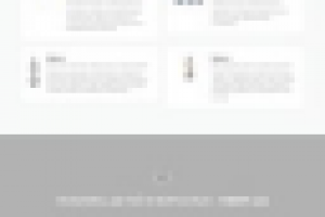 Роботы-промоутеры, CMS WordPress