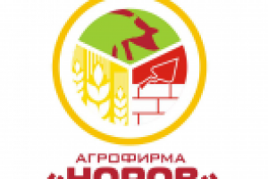 Работа 1736932