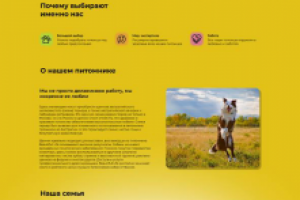 Дизайн сайтов для онлайн зоомагазина
