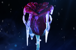 NFT—Cold roses | Binance & Imanbek