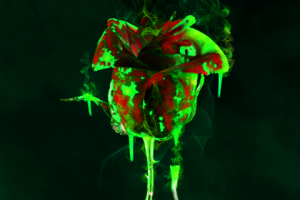 NFT—Acid roses | Binance & Imanbek