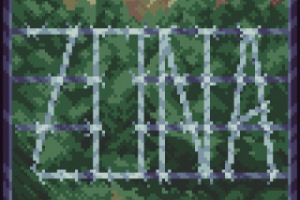 Рубашка игральной карты