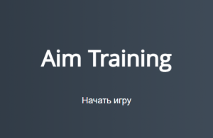 Игра на тренировку точности