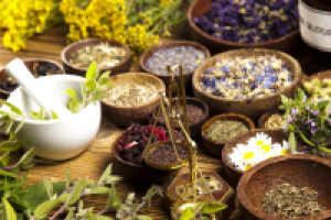 Научная статья об аюрведическом препарате (англ.-рус.)