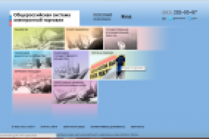 Промо-сайт Общероссийской электронной системы торговли