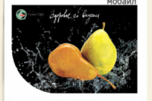 Работа 2926666