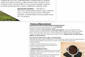 Презентация для обучения бариста в сети кофеен.