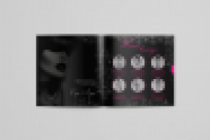 Дизайн для элитного салона красоты Москва