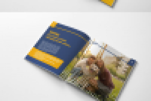 Сириус каталог