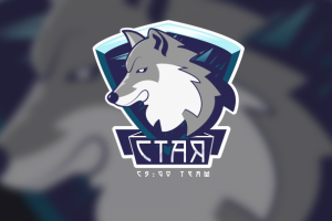 Логотип CS:GO Team СТАЯ