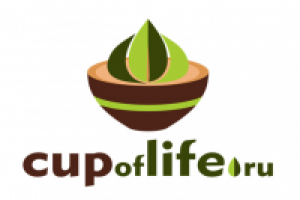 Работа 1849753