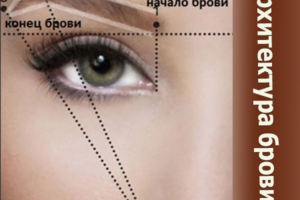 Инфографика
