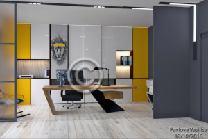 Рабочий кабинет