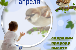 конкурс баннеров ко дню птиц