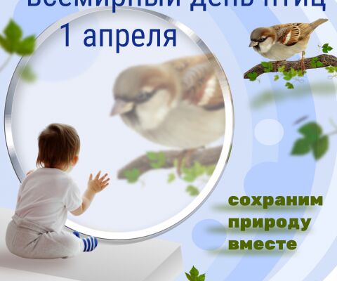 img4350333.png