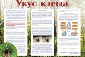 Стенгазета "Укус клеща"