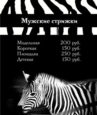 img3428415.png
