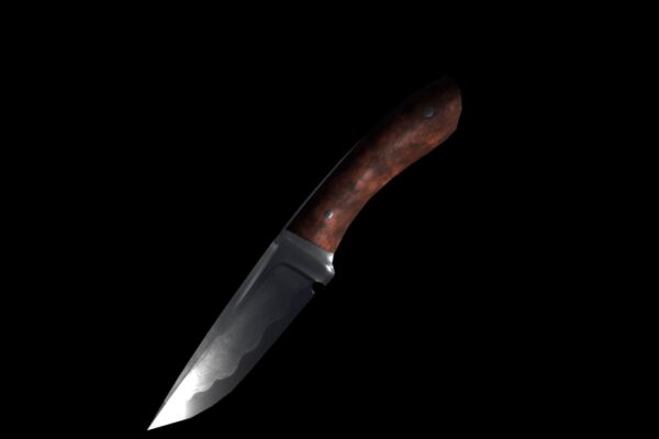 img3745842.png
