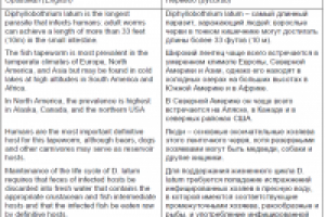 Пример перевода статьи по медицине