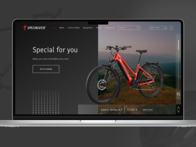 Specialized интернет-магазин