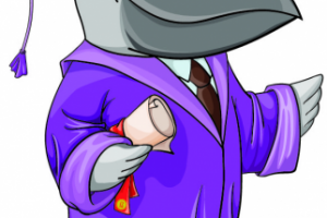 Ворона в мантии