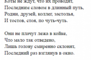 Коты не пишут завещаний