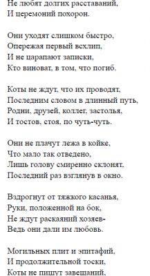img4302433.png