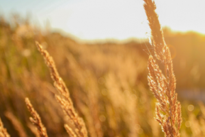 Работа 4001222