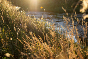 Работа 4001221