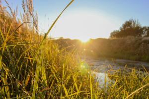 Работа 4001220