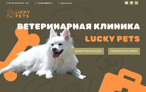 img4333124.png