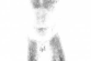 Фестиваль документальных фильмов "Лавр"