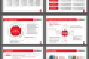 Презентация для акционеров турфирмы