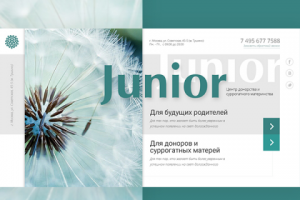 Junior - центр донорства и суррогатного материнства