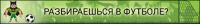 img2366361.png