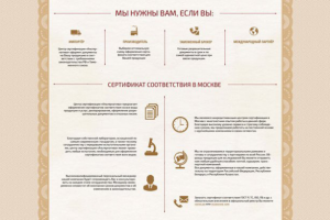 Дизайн сайта для центра сертификации