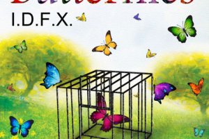 Обложка к синглу группы I.D.F.X.