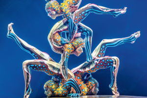 Лучшие цирки мира